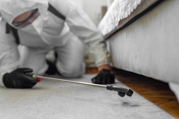 Professional Bed Bug Control technician working in Rush Springs, OK